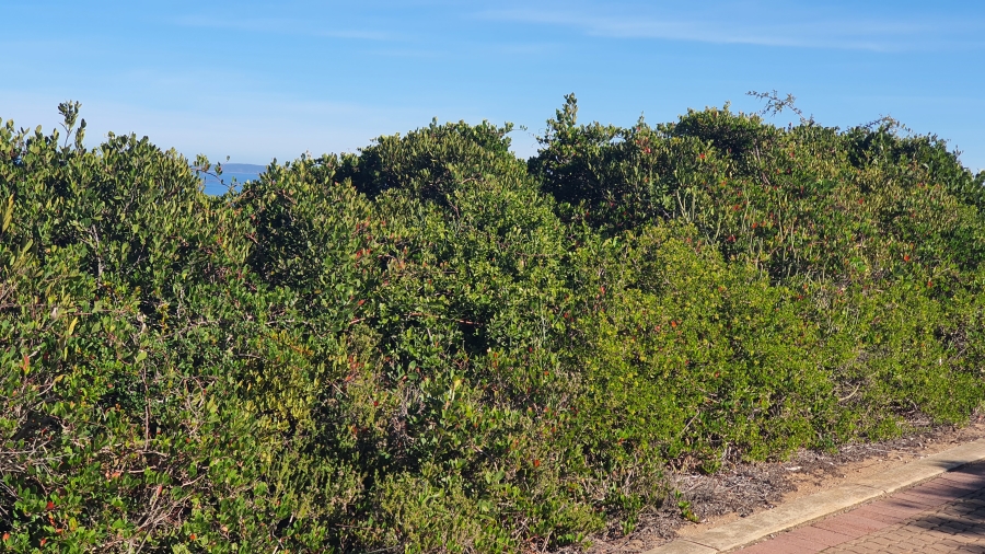0 Bedroom Property for Sale in Pinnacle Point Golf Estate Western Cape